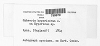 Image Associated With the Occurence